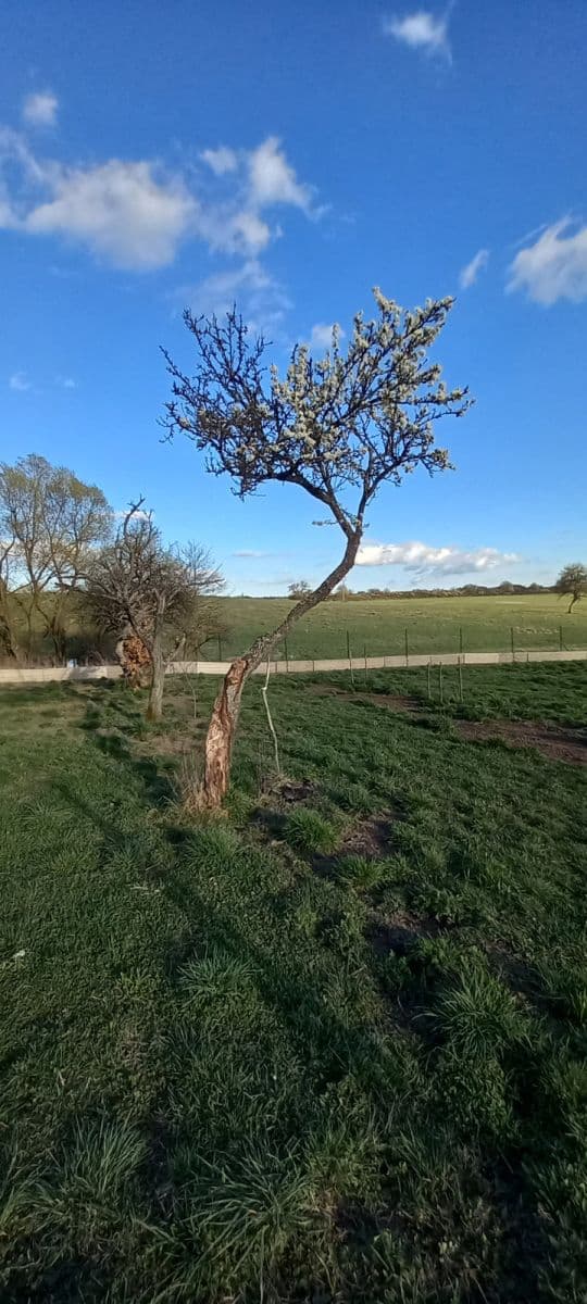 Pronájem bytu  75 m², Mezník, Litava, Banskobystrický kraj