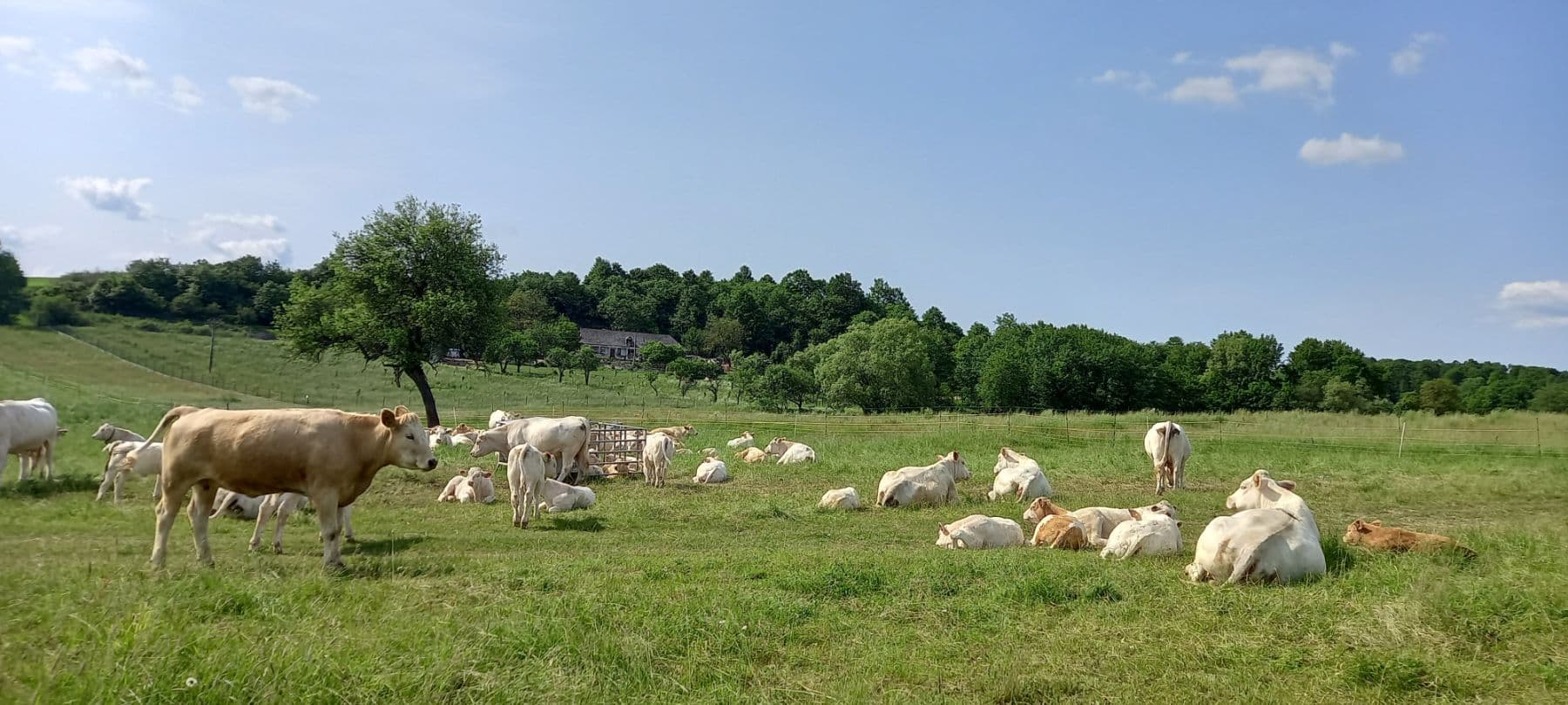Pronájem bytu  75 m², Mezník, Litava, Banskobystrický kraj