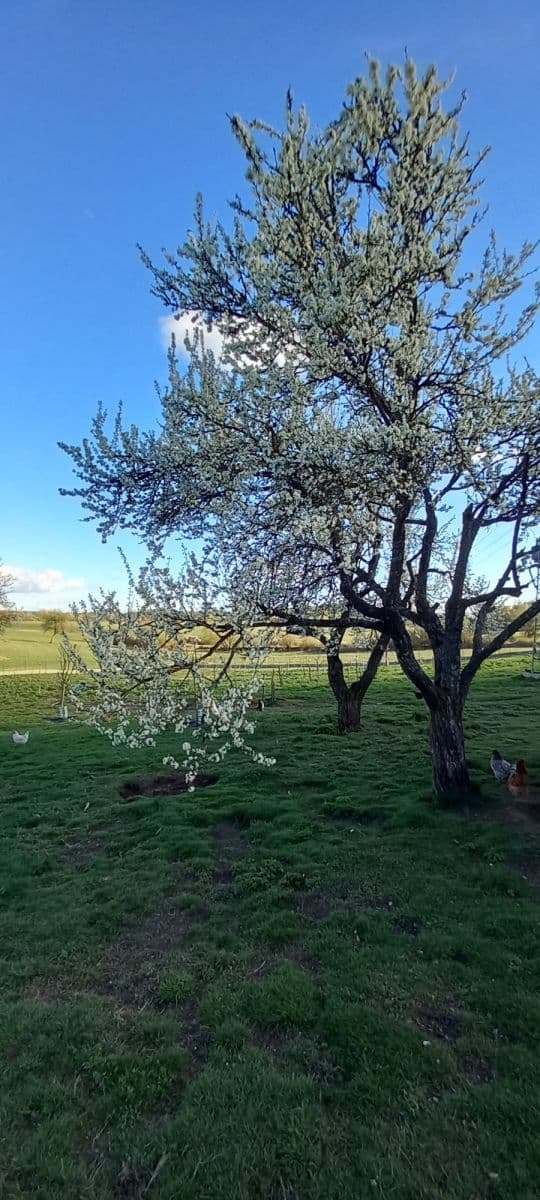 Pronájem bytu  75 m², Mezník, Litava, Banskobystrický kraj