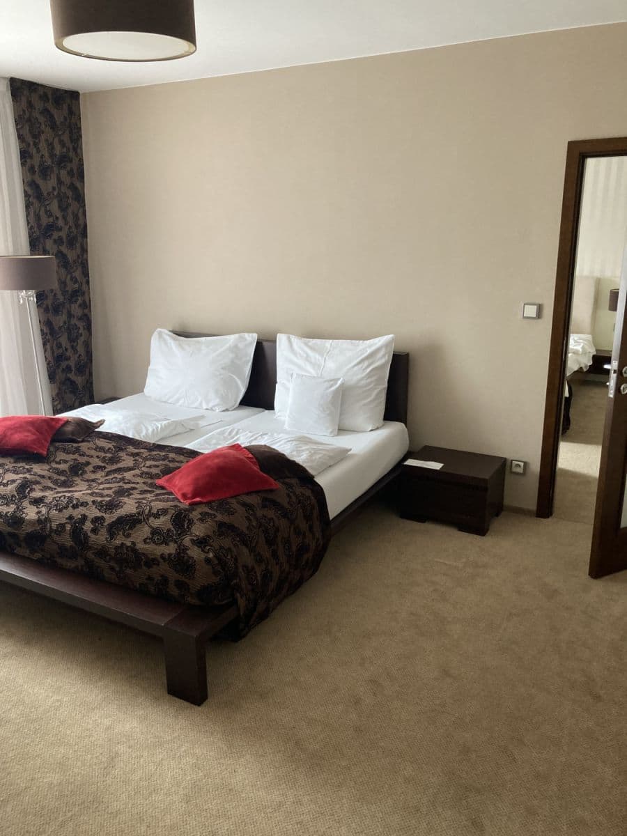 Pronájem bytu  78 m², U Borského parku, Plzeň, Plzeňský kraj