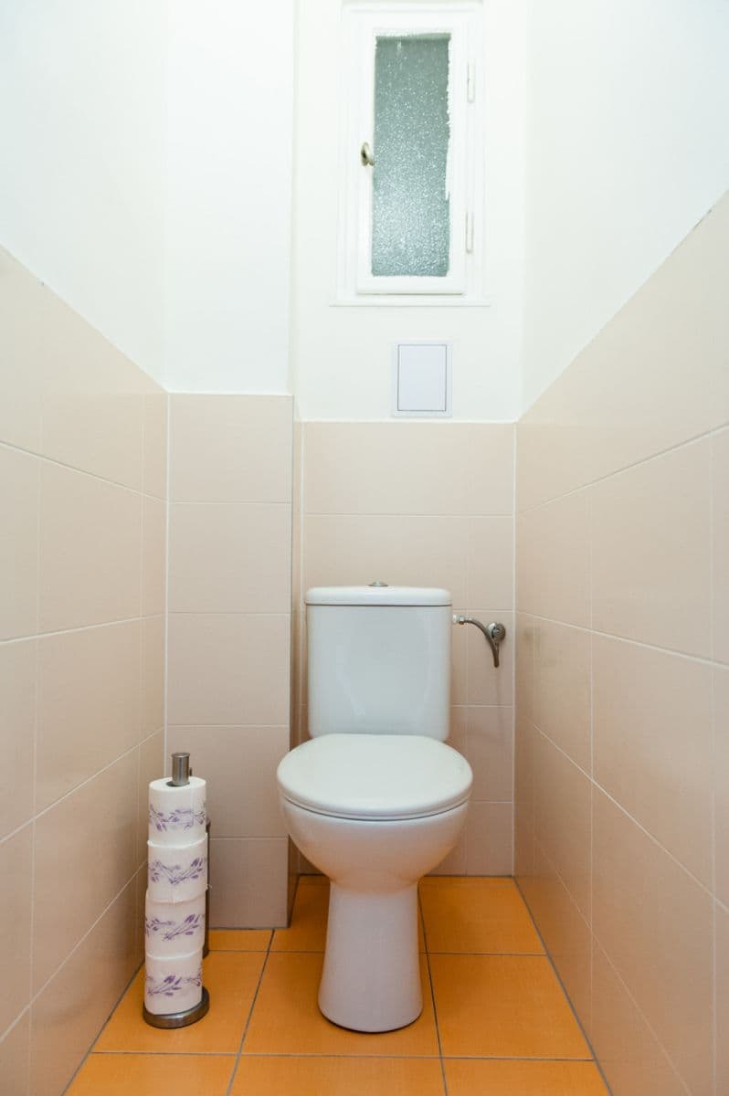 Pronájem bytu  63 m², Krakovská, Praha, Praha