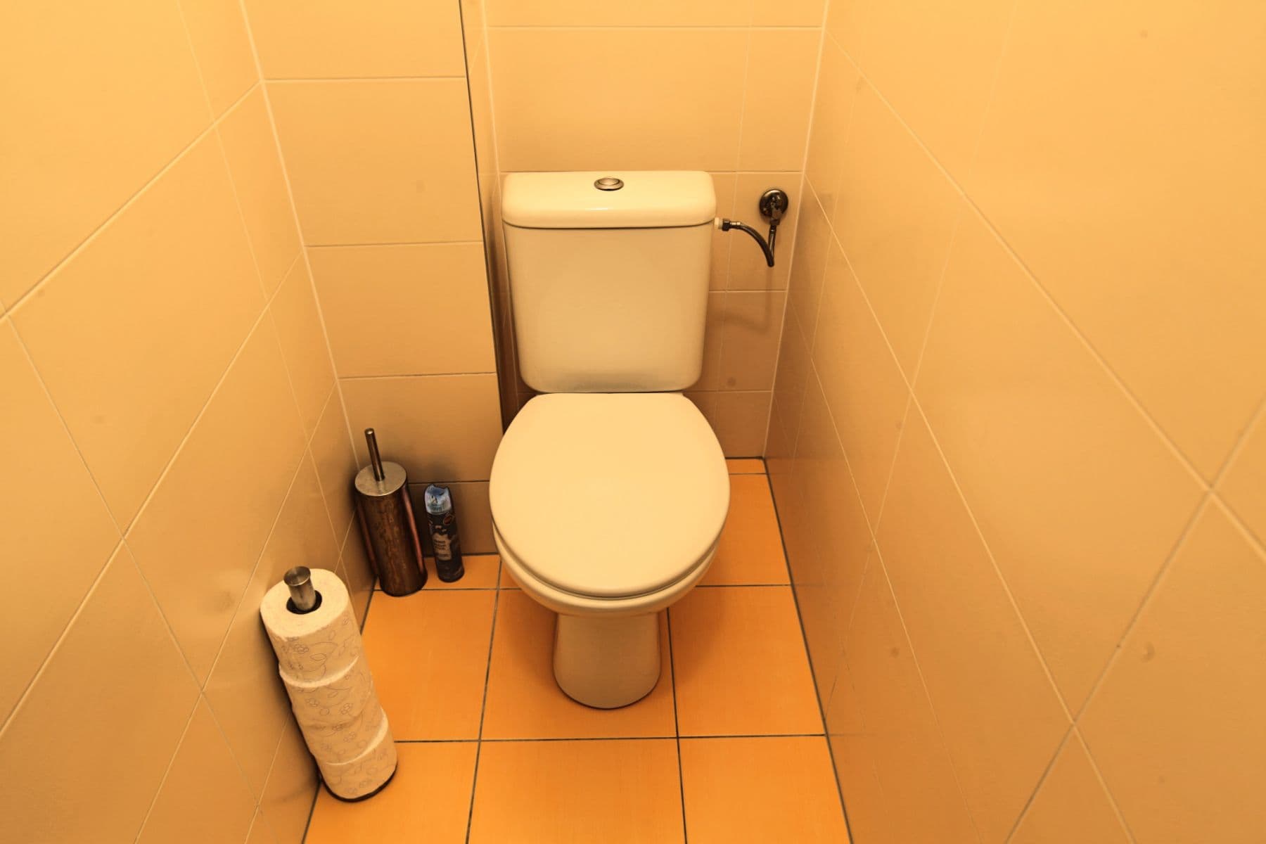 Pronájem bytu  63 m², Krakovská, Praha, Praha