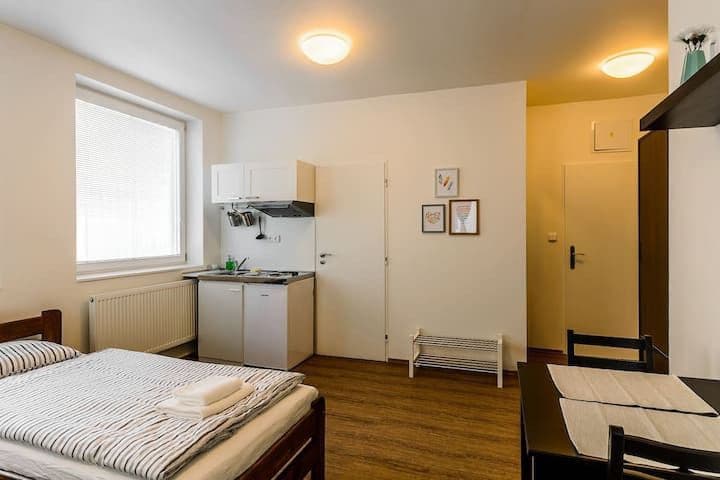 Pronájem bytu  20 m², Víta Nejedlého, Praha, Praha