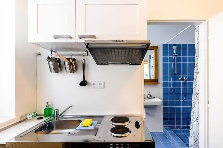 Pronájem bytu  20 m², Víta Nejedlého, Praha, Praha