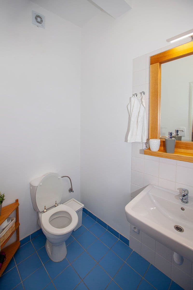 Pronájem bytu  25 m², Víta Nejedlého, Praha, Praha