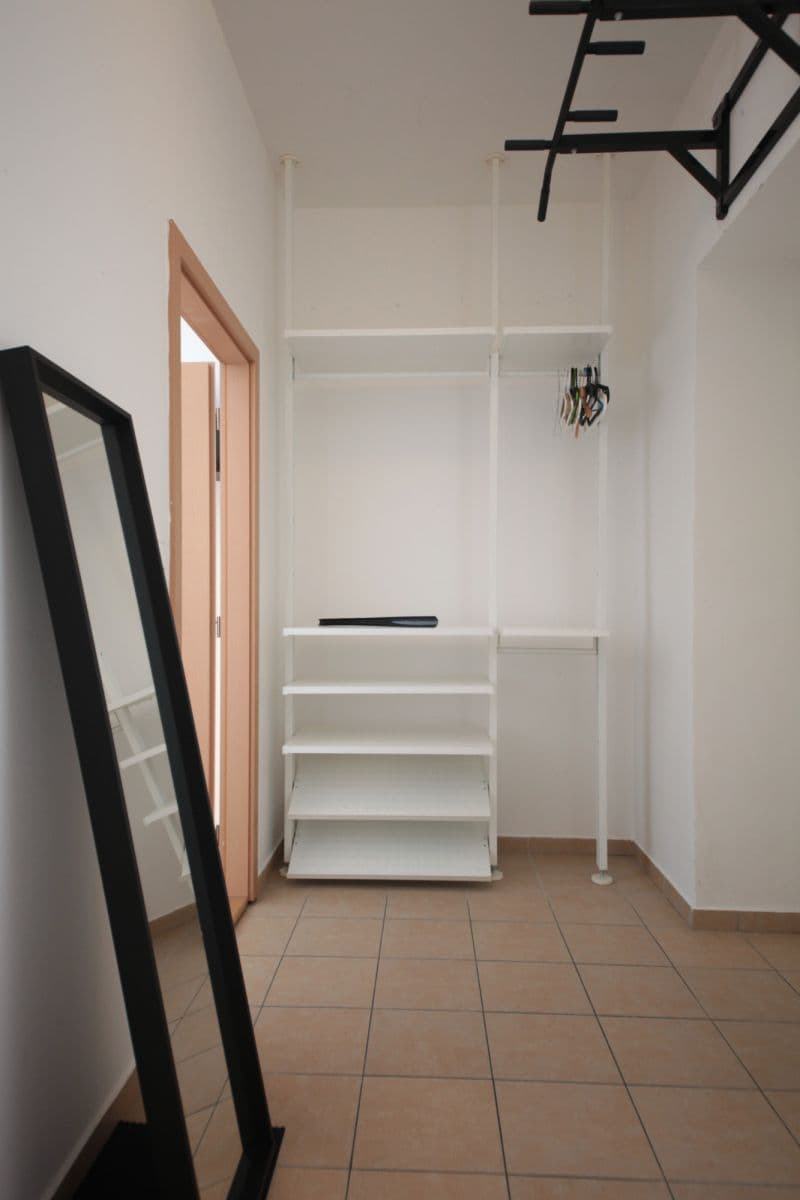 Pronájem bytu  36 m², Plzeňská, Praha, Praha