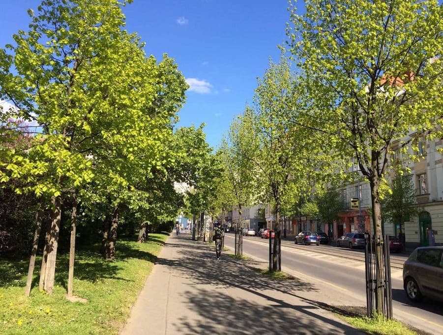 Pronájem bytu  113 m², Čáslavská, Praha, Praha