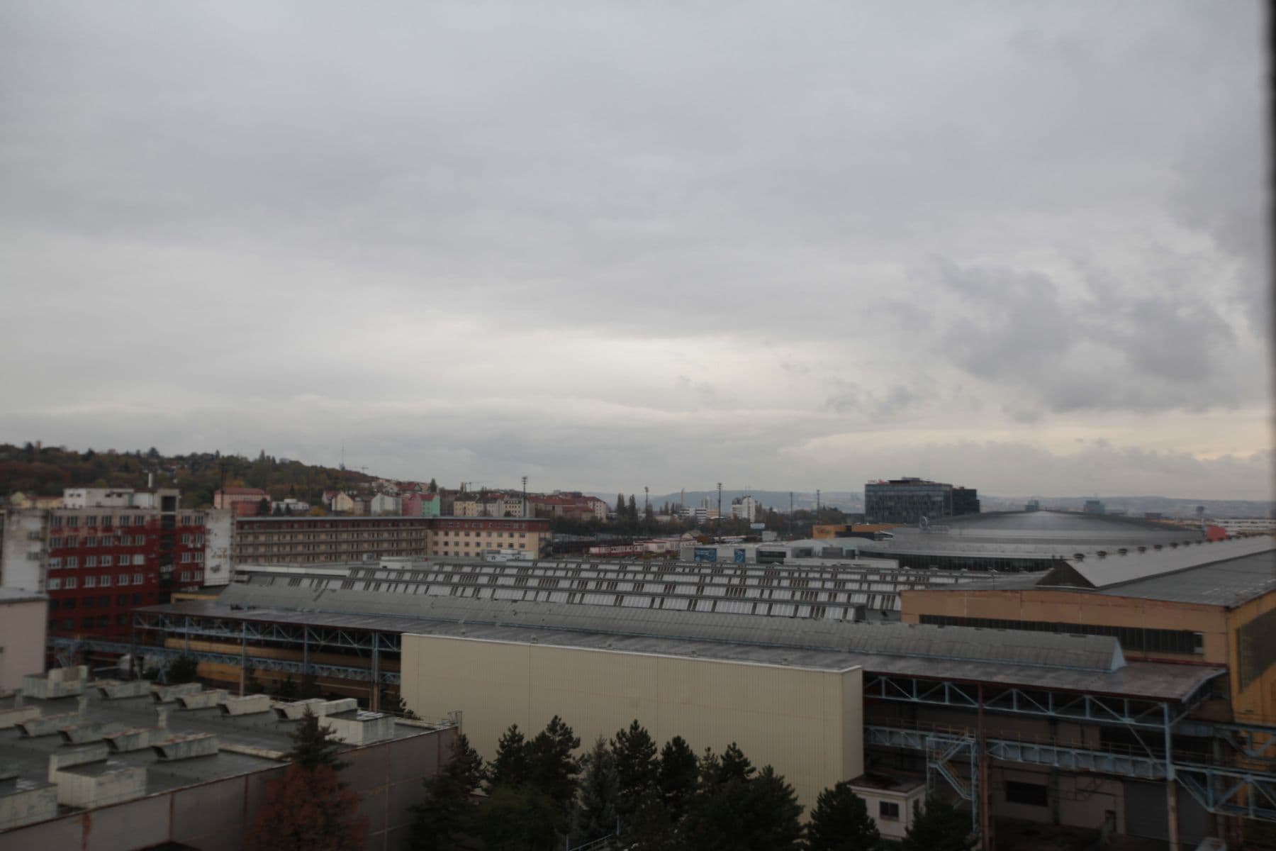 Pronájem bytu  25 m², Freyova, Praha, Praha