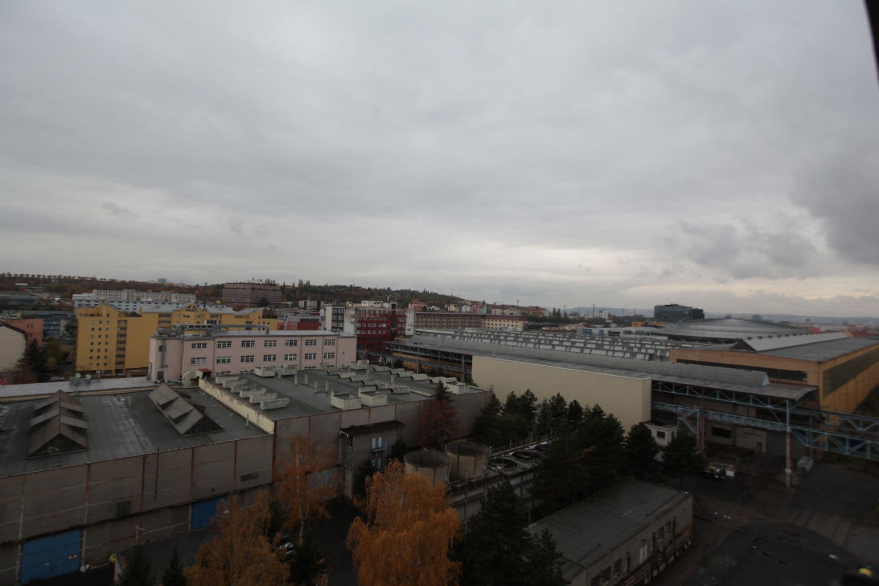 Pronájem bytu  25 m², Freyova, Praha, Praha