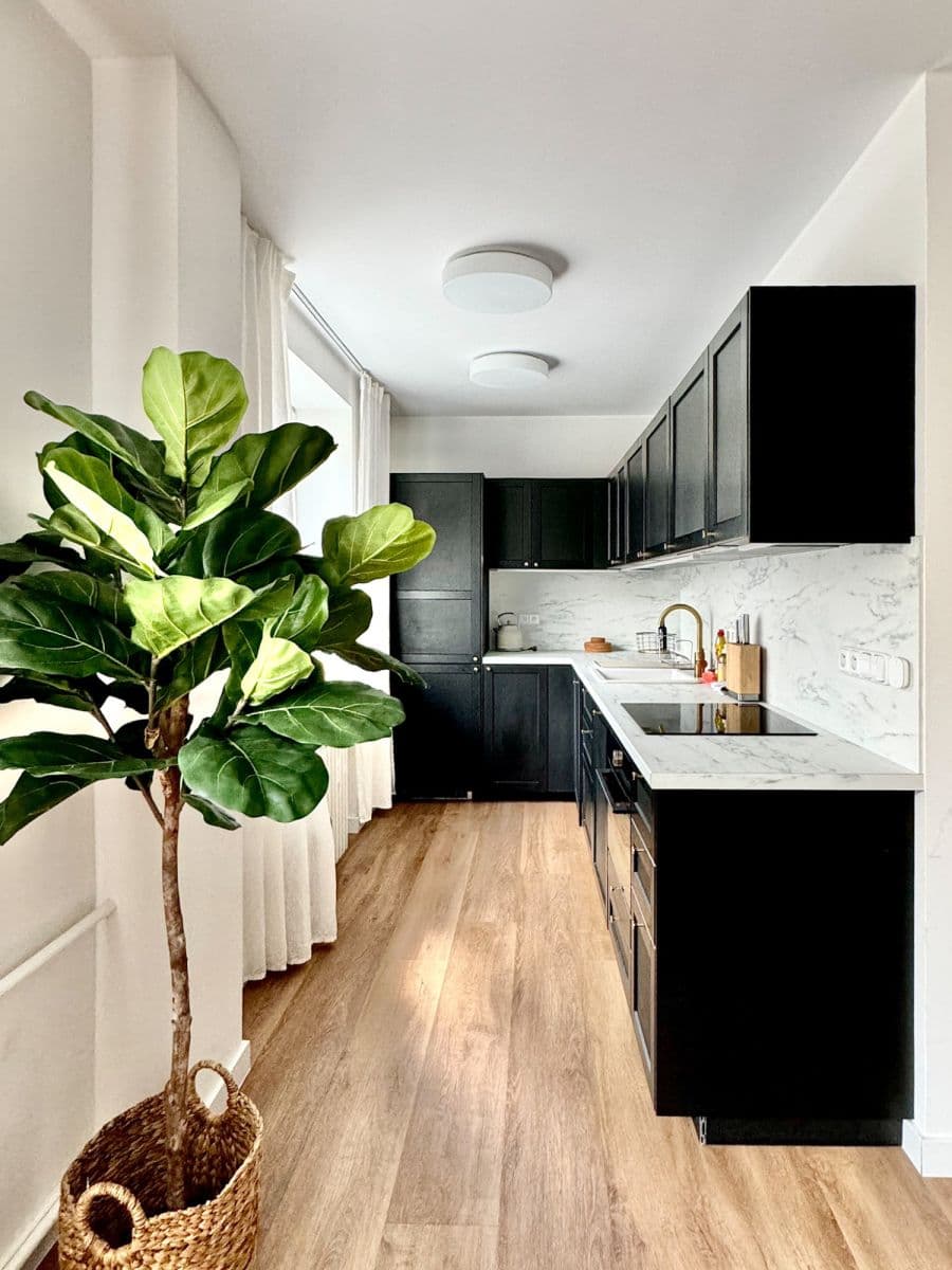 Pronájem bytu  52 m², Vinohradská, Praha, Praha