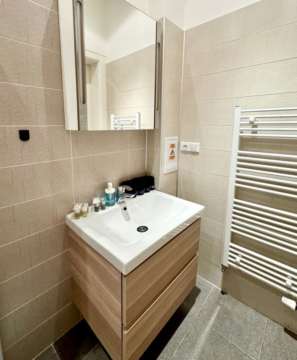 Pronájem bytu  133 m², Španělská, Praha, Praha