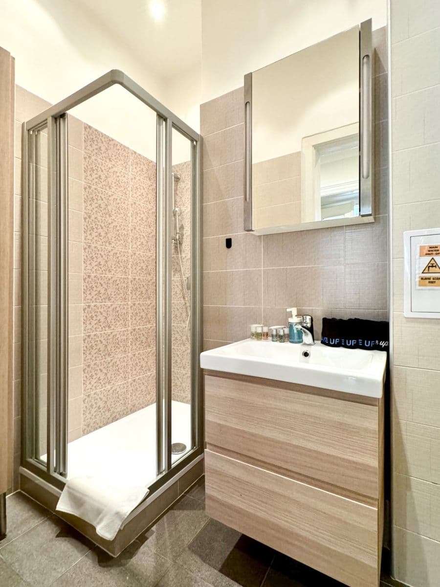 Pronájem bytu  133 m², Španělská, Praha, Praha