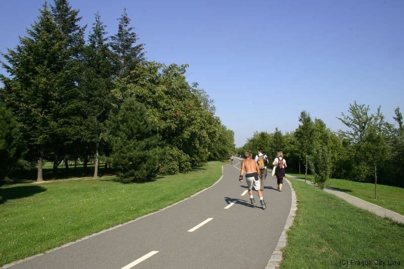 Pronájem bytu  55 m², Křenova, Praha, Praha
