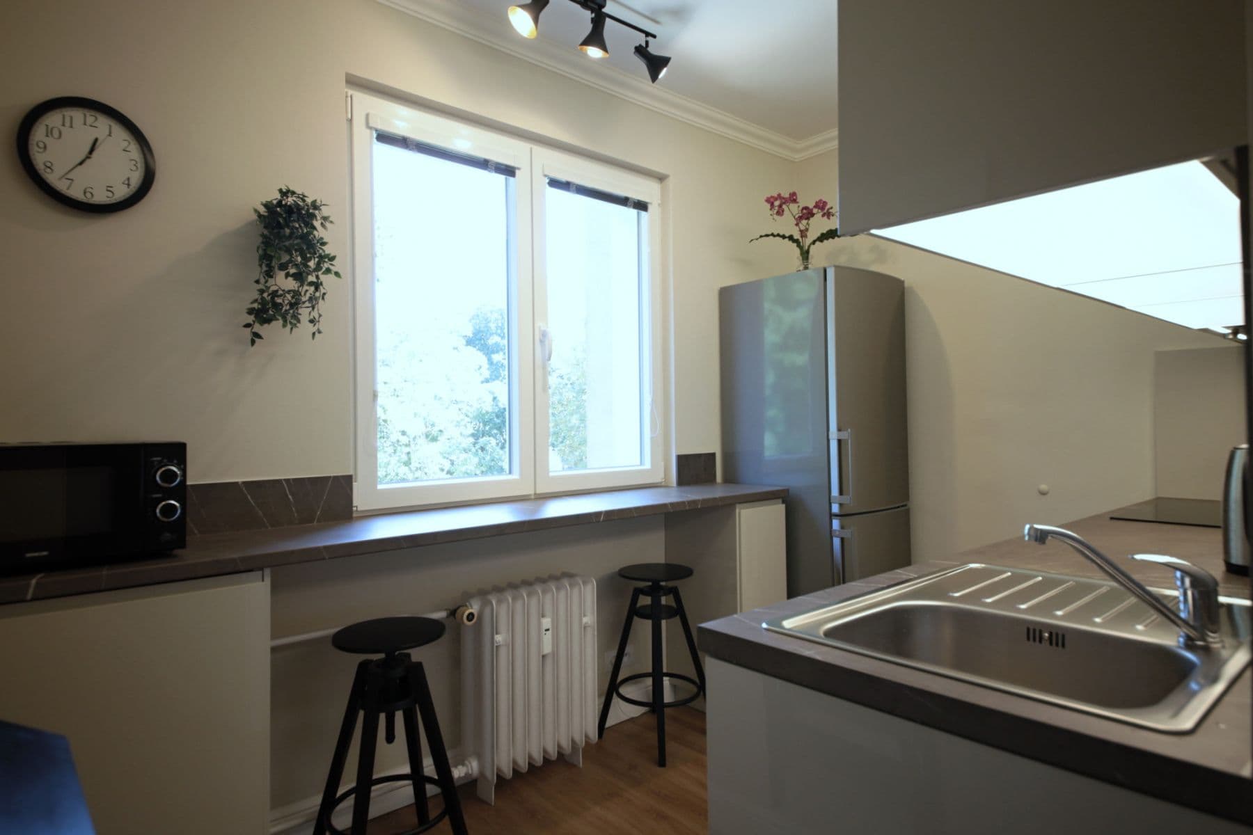 Pronájem bytu  55 m², Křenova, Praha, Praha