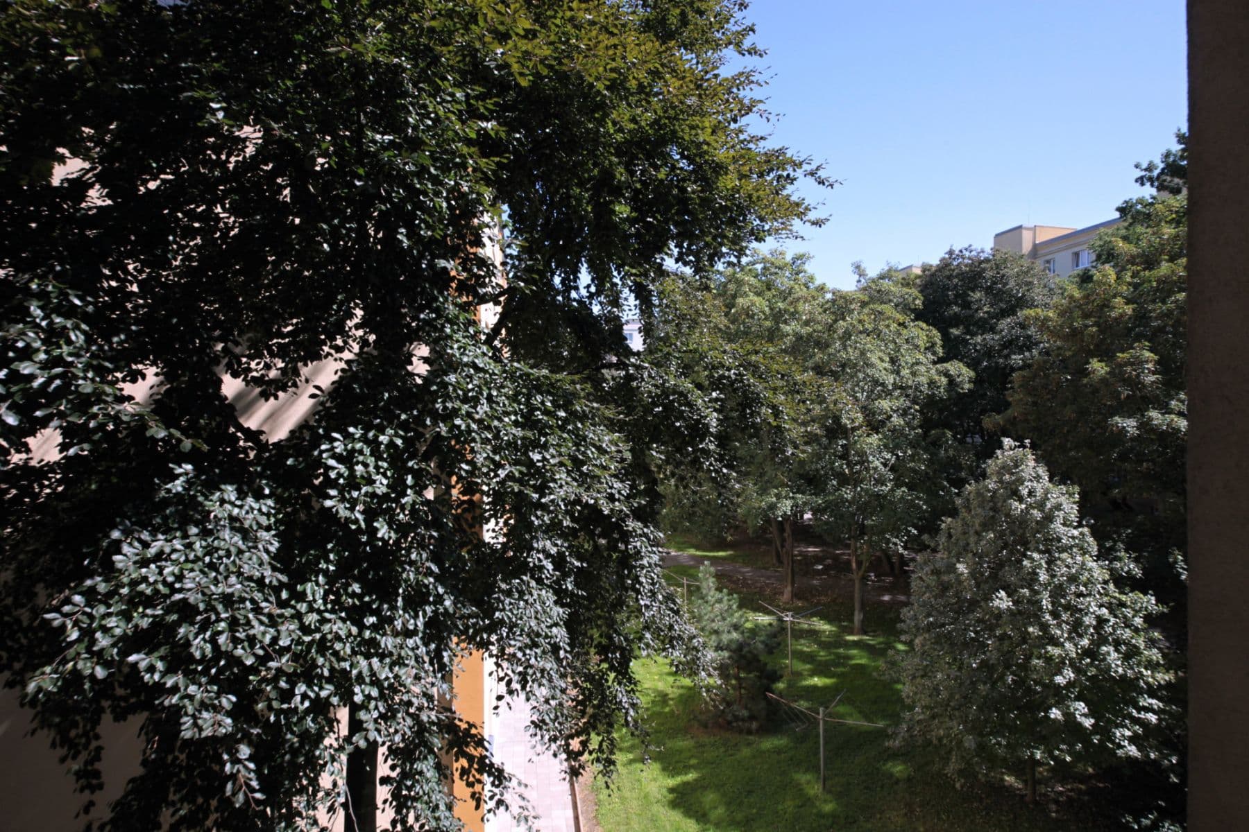 Pronájem bytu  55 m², Křenova, Praha, Praha