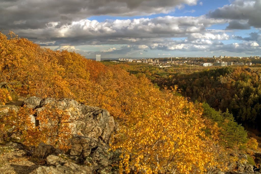 Pronájem bytu  55 m², Křenova, Praha, Praha