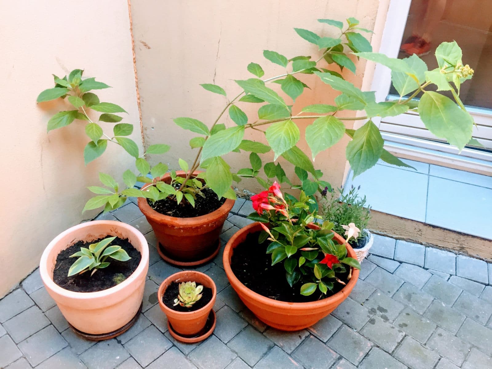 Pronájem bytu  20 m², Levá, Praha, Praha