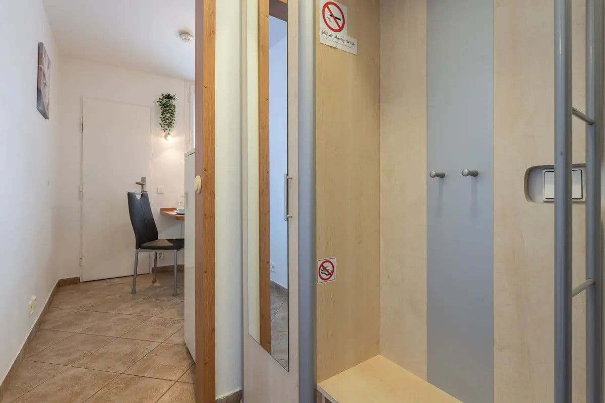 Pronájem bytu  36 m², Rybná, Praha, Praha