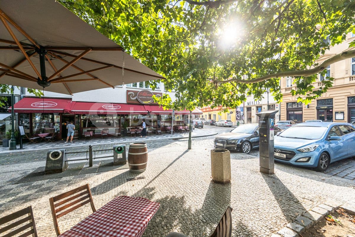 Pronájem bytu  100 m², Petrská, Praha, Praha