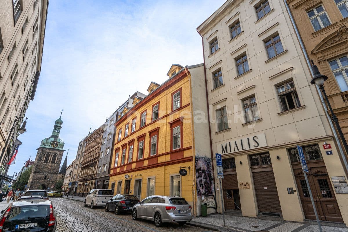 Pronájem bytu  100 m², Petrská, Praha, Praha