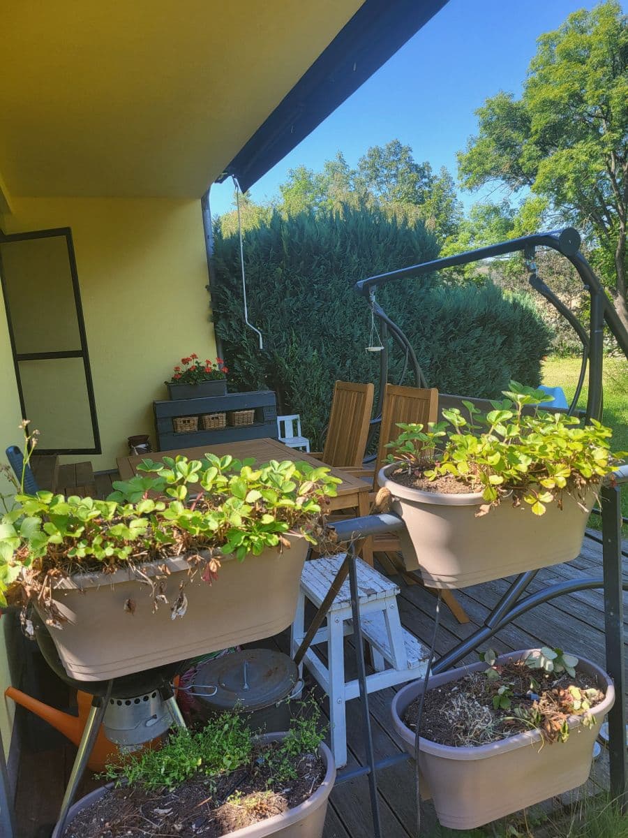 Pronájem bytu  54 m², V Sedlci b, Praha, Praha