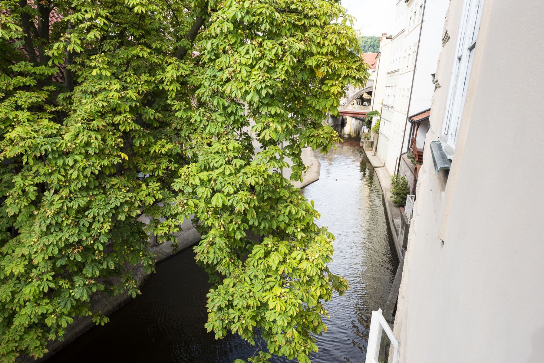 Pronájem bytu  56 m², U Lužického semináře, Praha, Praha