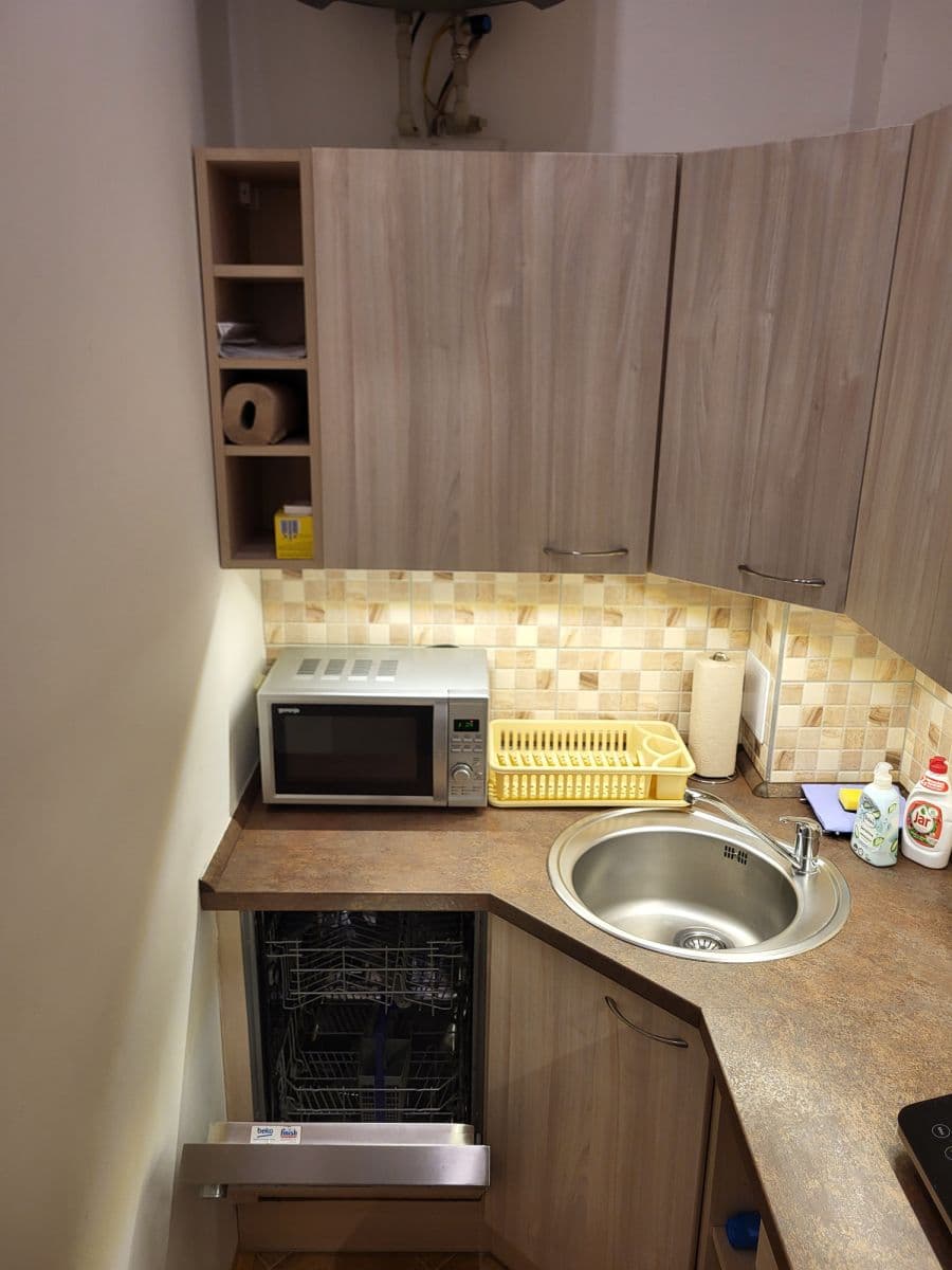 Pronájem bytu  48 m², Františka Křížka, Praha, Praha