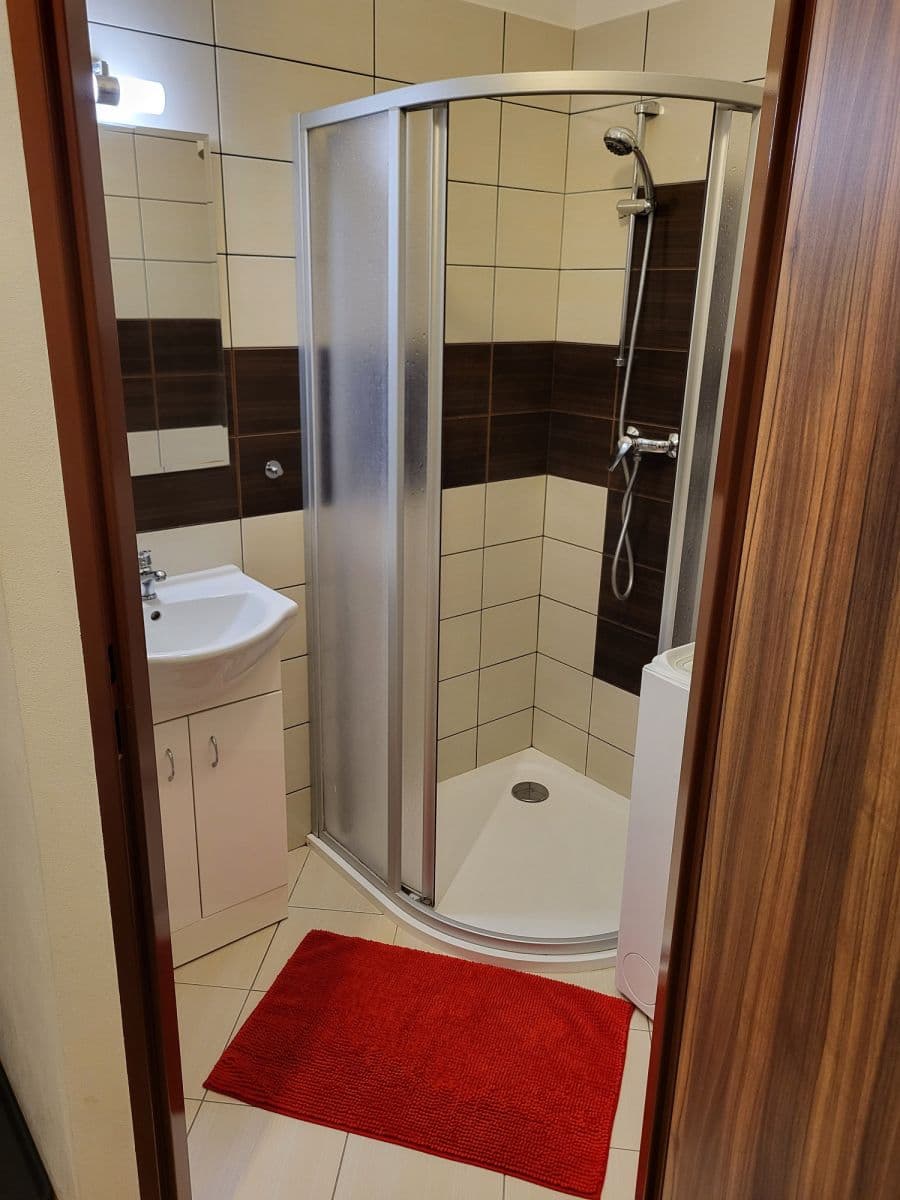 Pronájem bytu  48 m², Františka Křížka, Praha, Praha