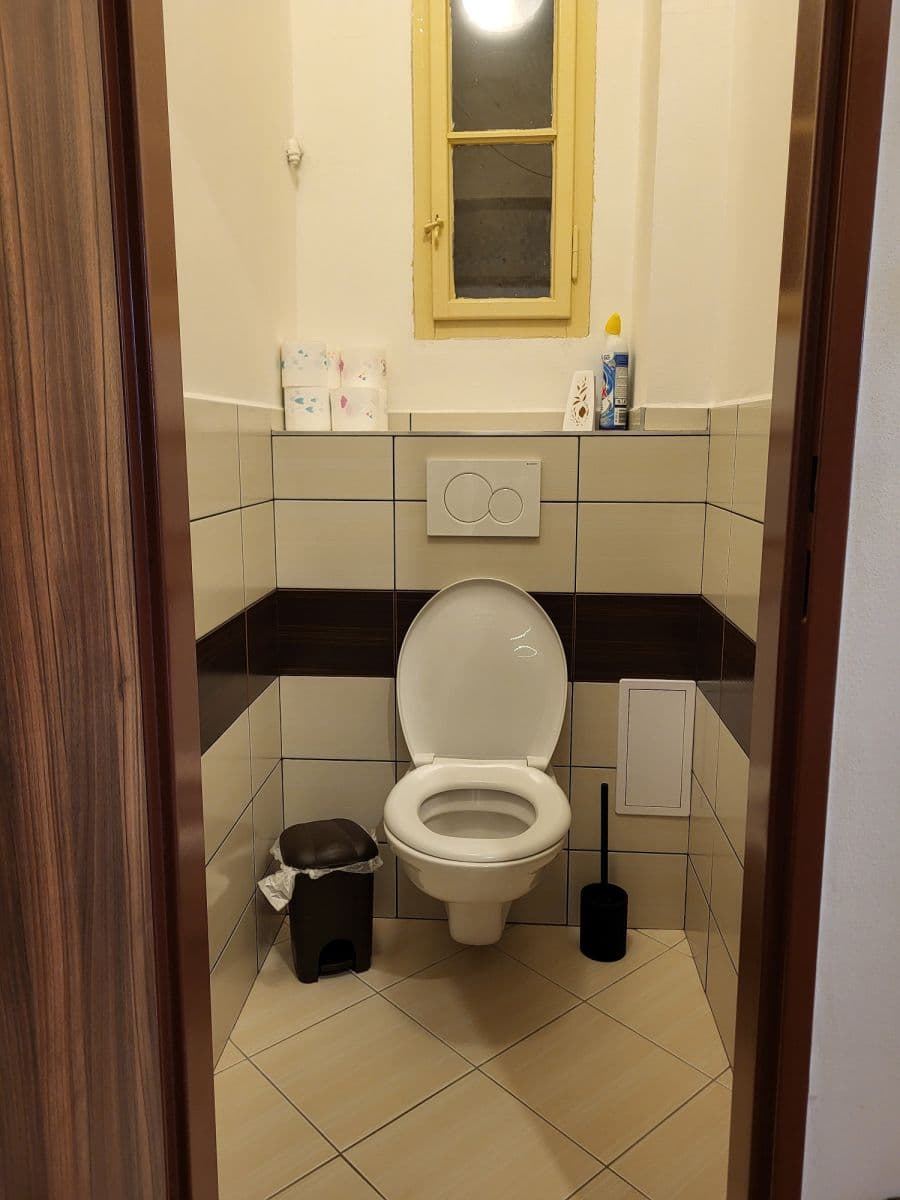 Pronájem bytu  48 m², Františka Křížka, Praha, Praha