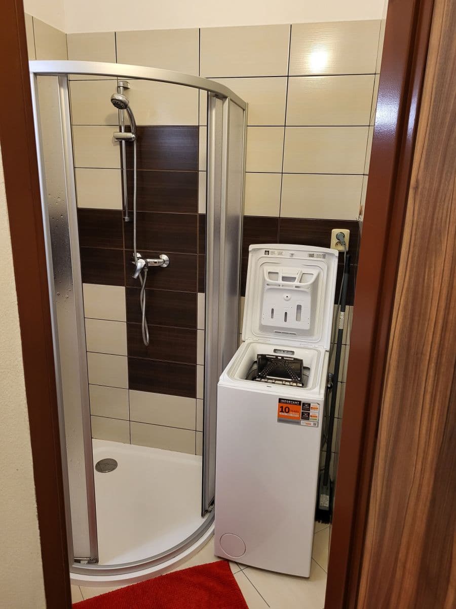 Pronájem bytu  48 m², Františka Křížka, Praha, Praha