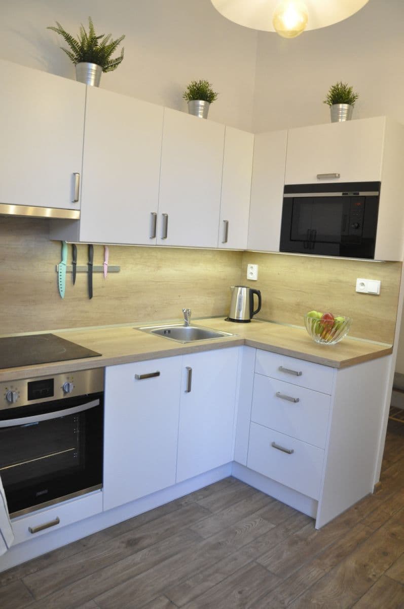 Pronájem bytu  40 m², Františka Křížka, Praha, Praha