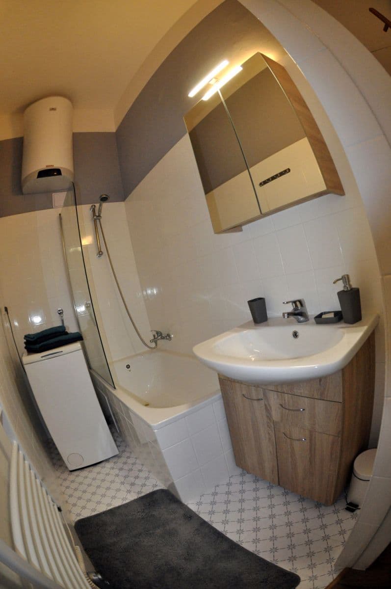 Pronájem bytu  40 m², Františka Křížka, Praha, Praha