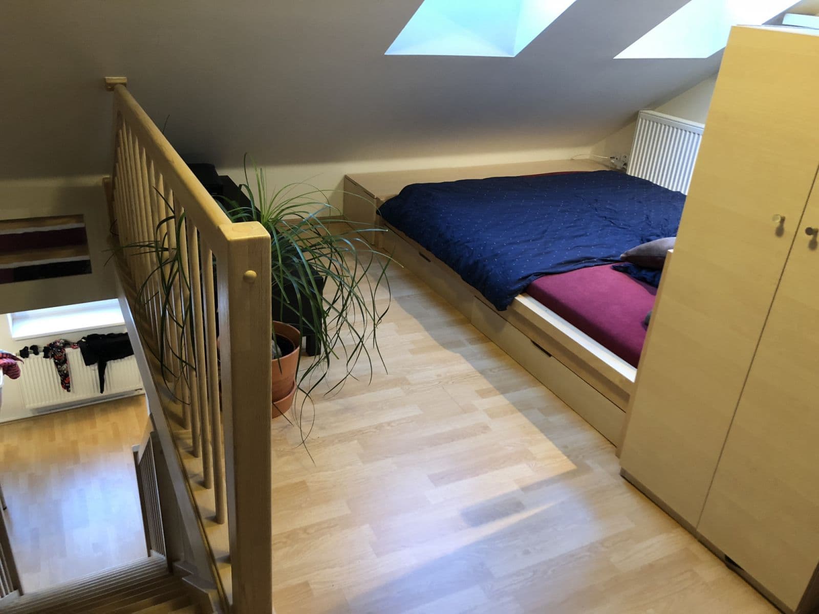 Pronájem bytu  55 m², Ovenecká, Praha, Praha