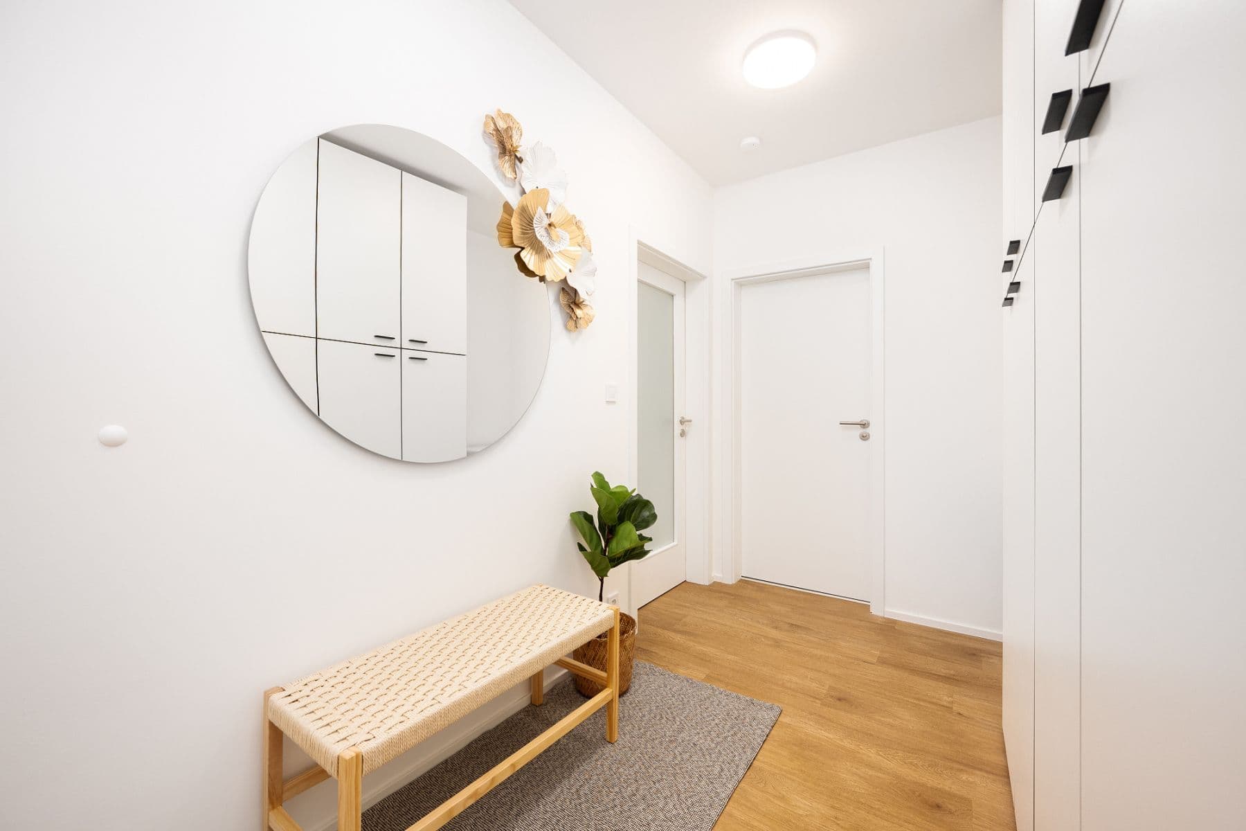 Pronájem bytu  40 m², Cejl, Brno, Jihomoravský kraj