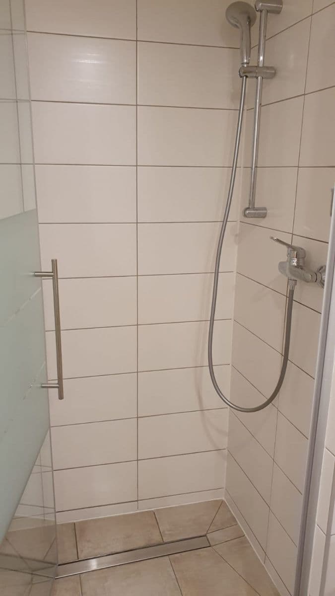 Pronájem bytu  46 m², Opatovická, Praha, Praha
