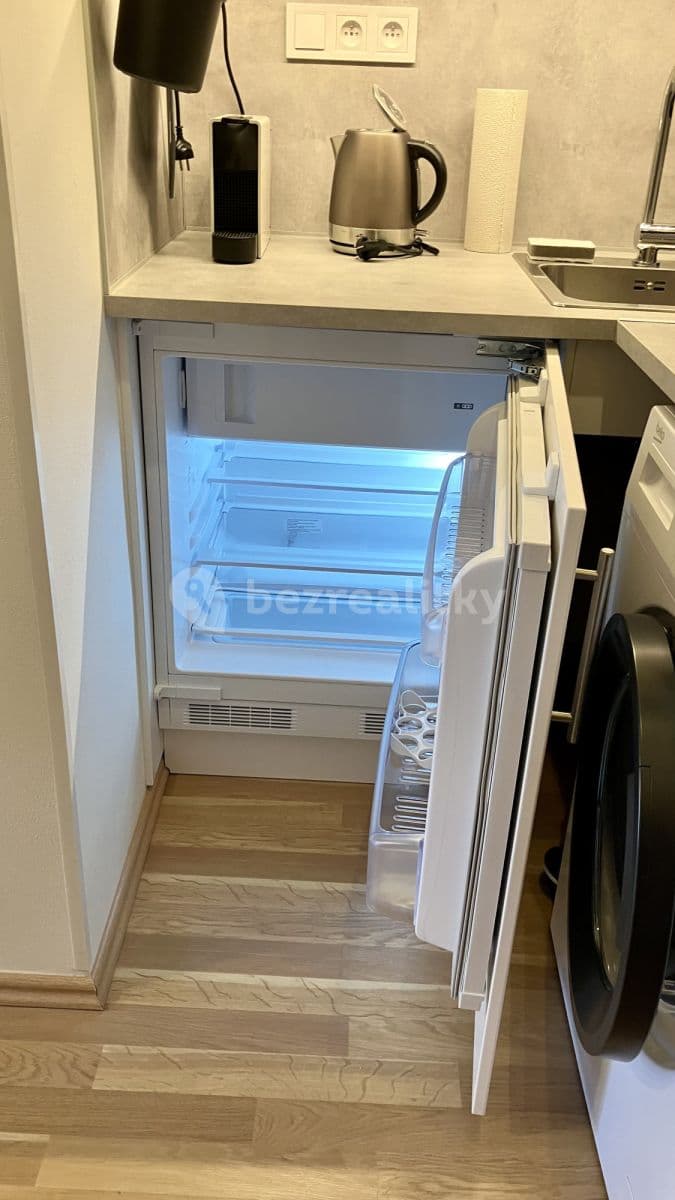 Pronájem bytu  22 m², Radlická, Praha, Praha