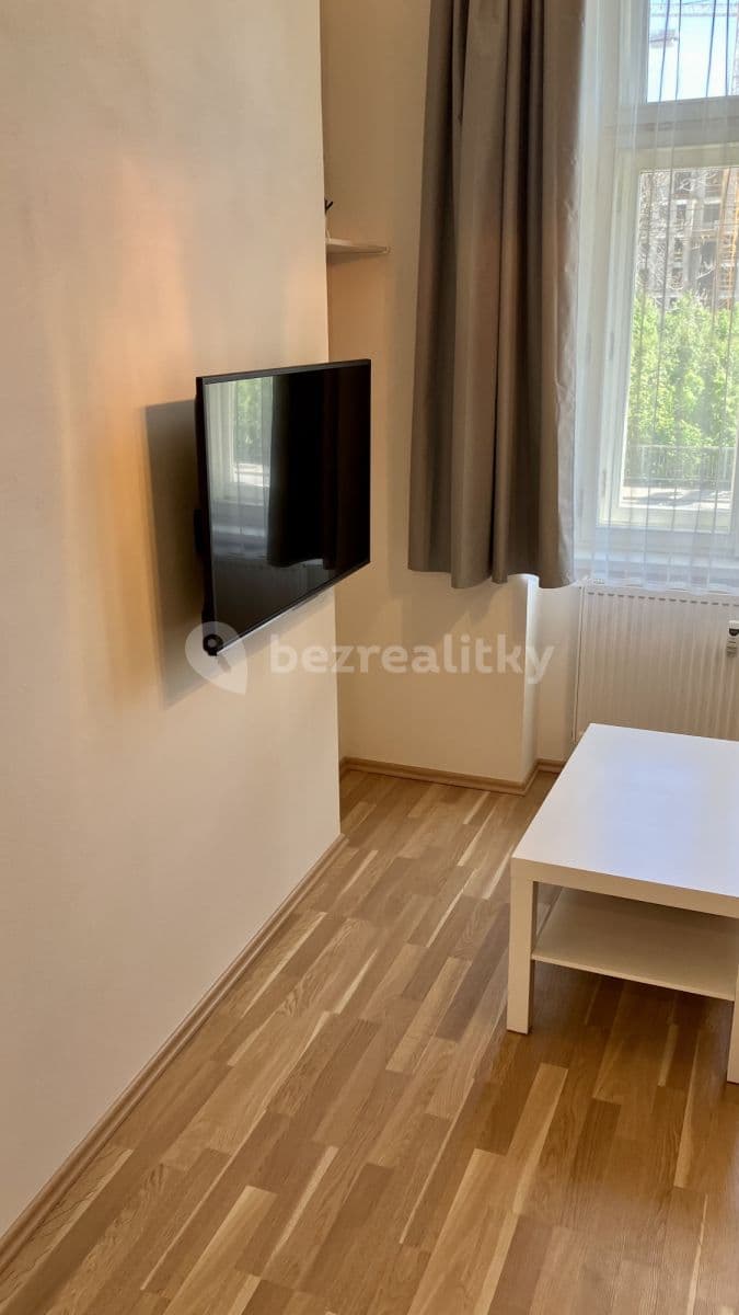 Pronájem bytu  22 m², Radlická, Praha, Praha