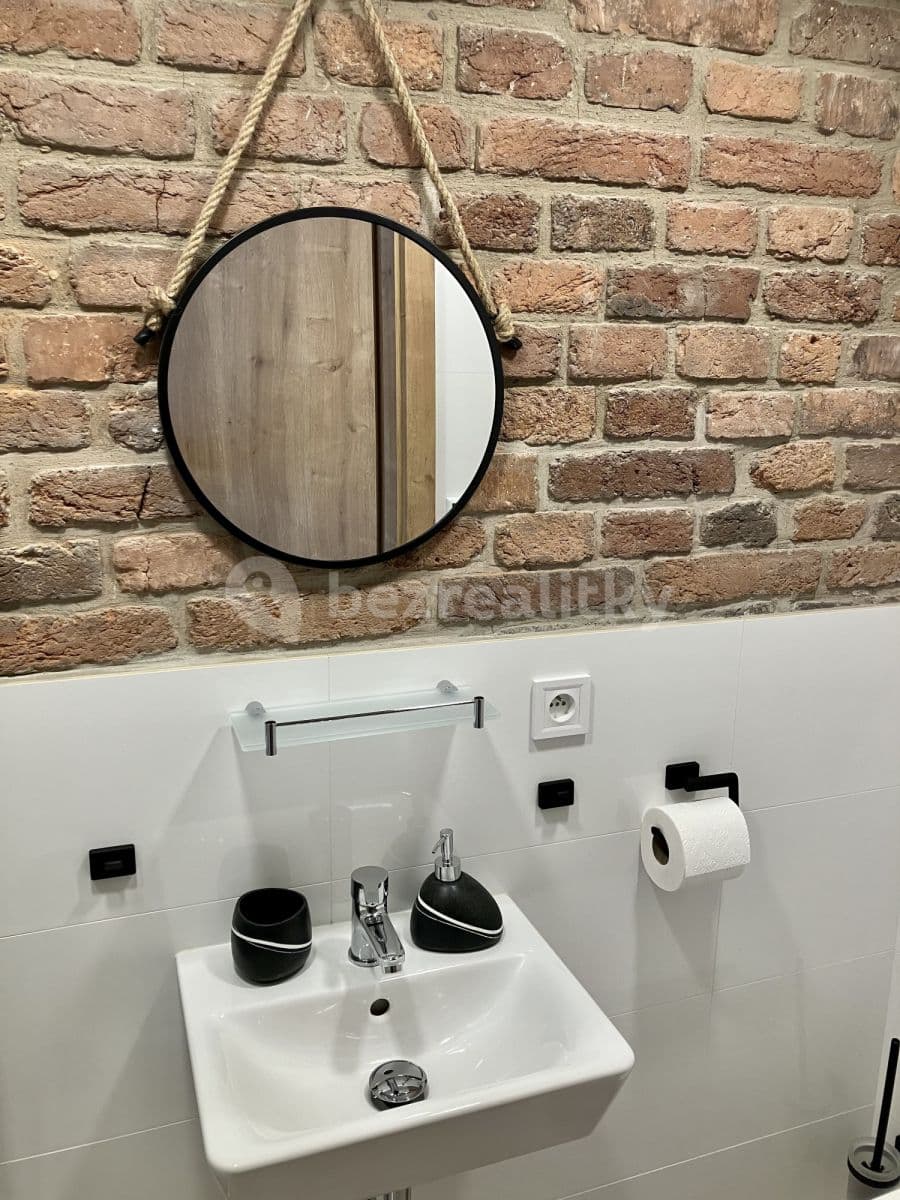 Pronájem bytu  22 m², Radlická, Praha, Praha