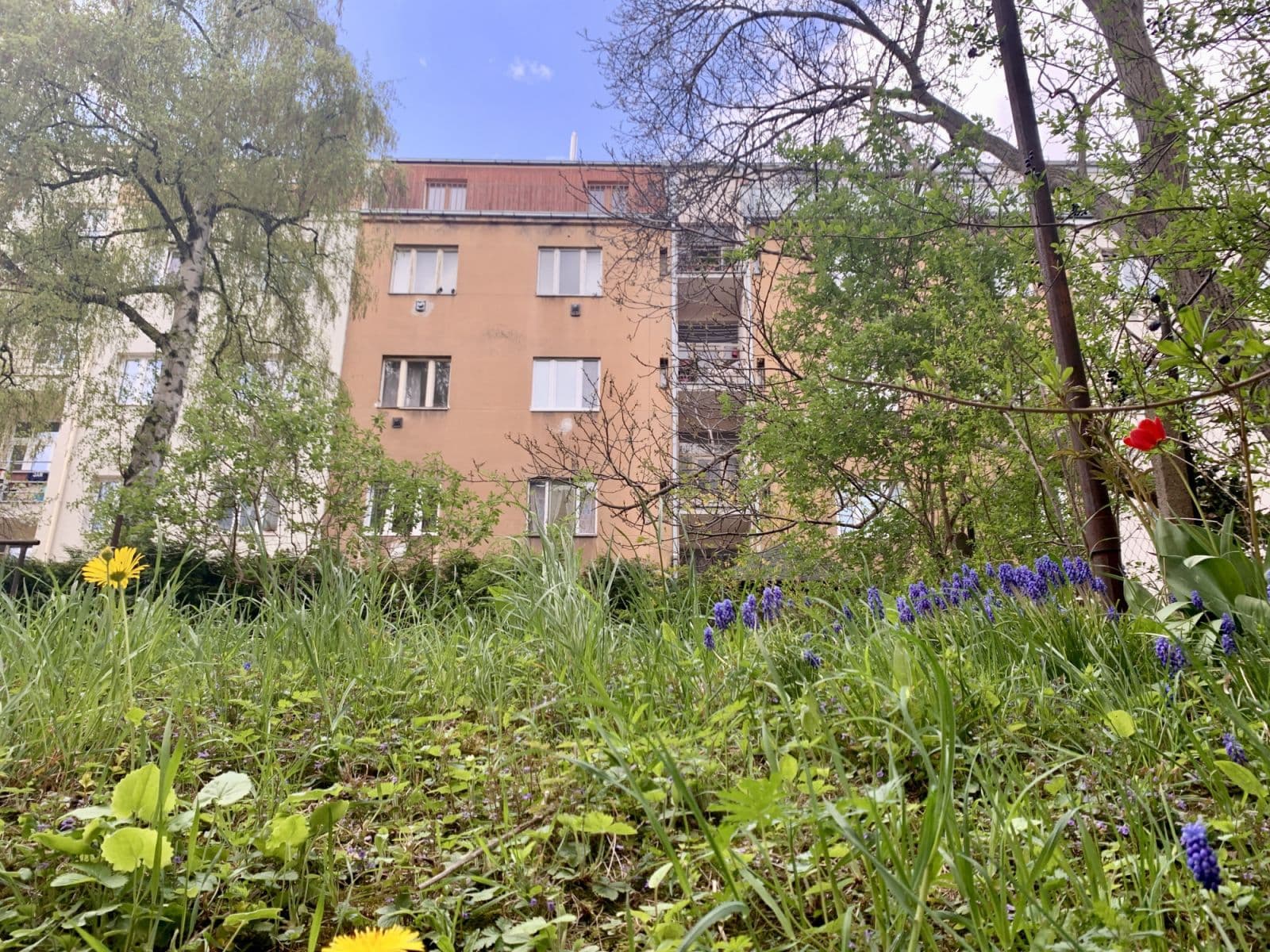 Pronájem bytu  38 m², Počátecká, Praha, Praha