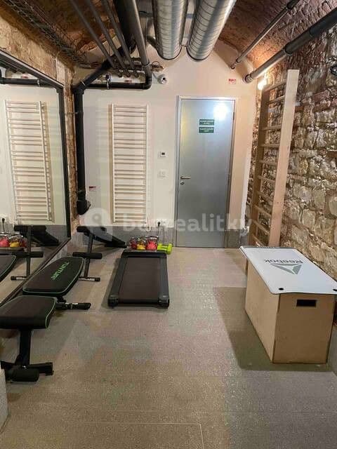 Pronájem bytu  40 m², Dlážděná, Praha, Praha