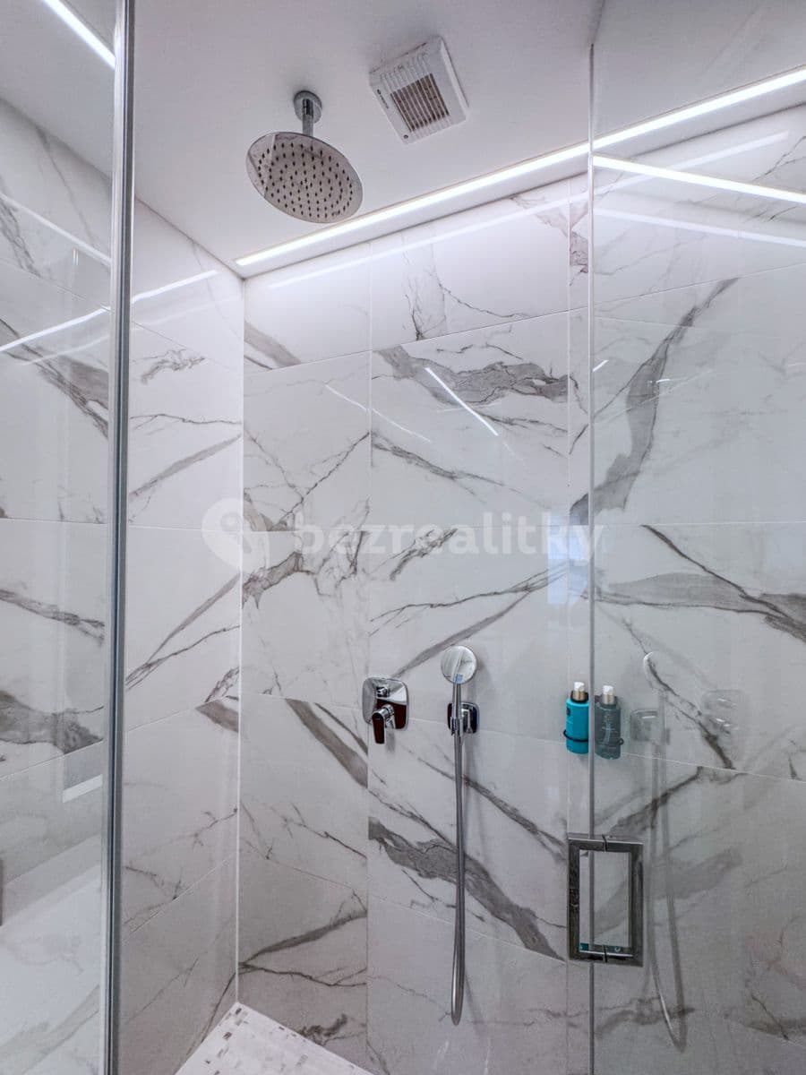 Pronájem bytu  112 m², Rybná, Praha, Praha