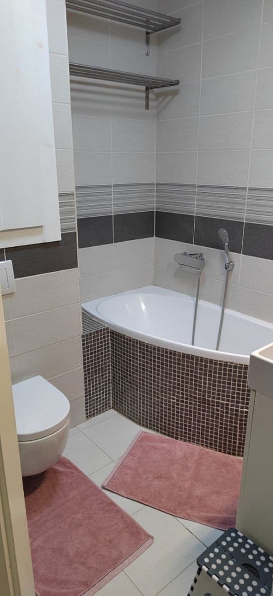 Pronájem bytu  55 m², Baranova, Praha, Praha