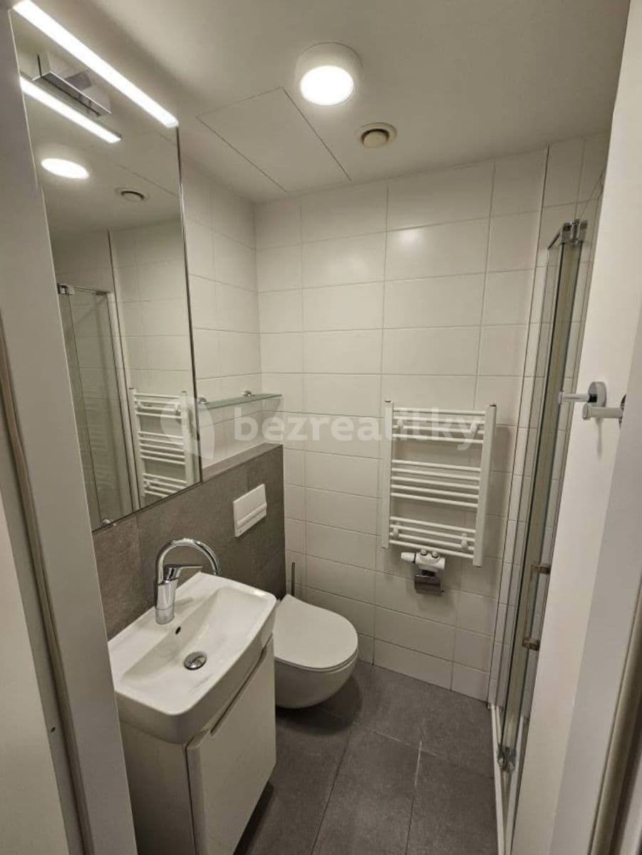 Pronájem bytu  18 m², Na Zátorách, Praha, Praha