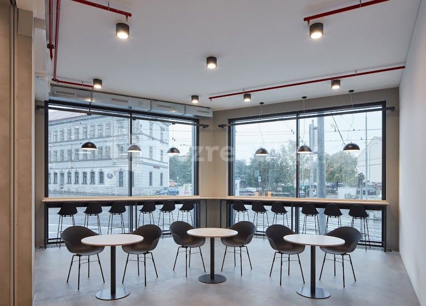 Pronájem bytu  18 m², Na Zátorách, Praha, Praha