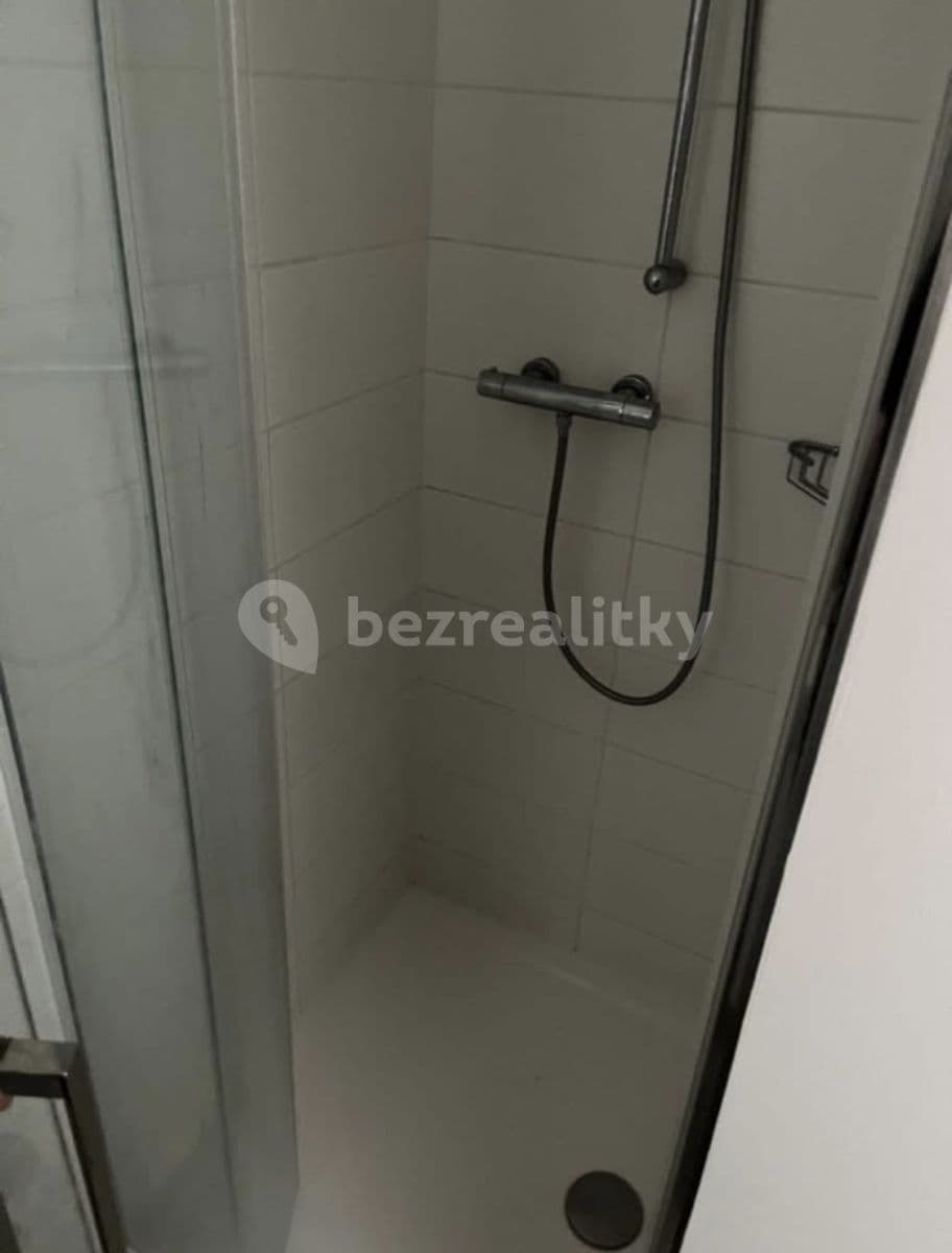 Pronájem bytu  18 m², Na Zátorách, Praha, Praha
