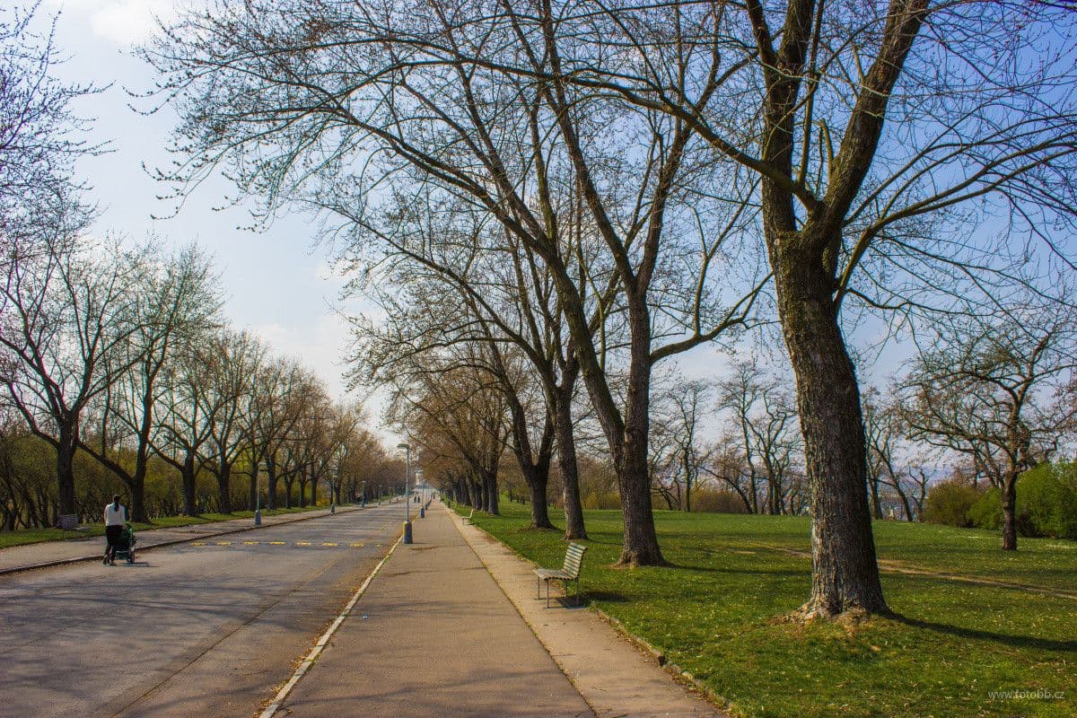 Pronájem bytu  26 m², Kališnická, Praha, Praha