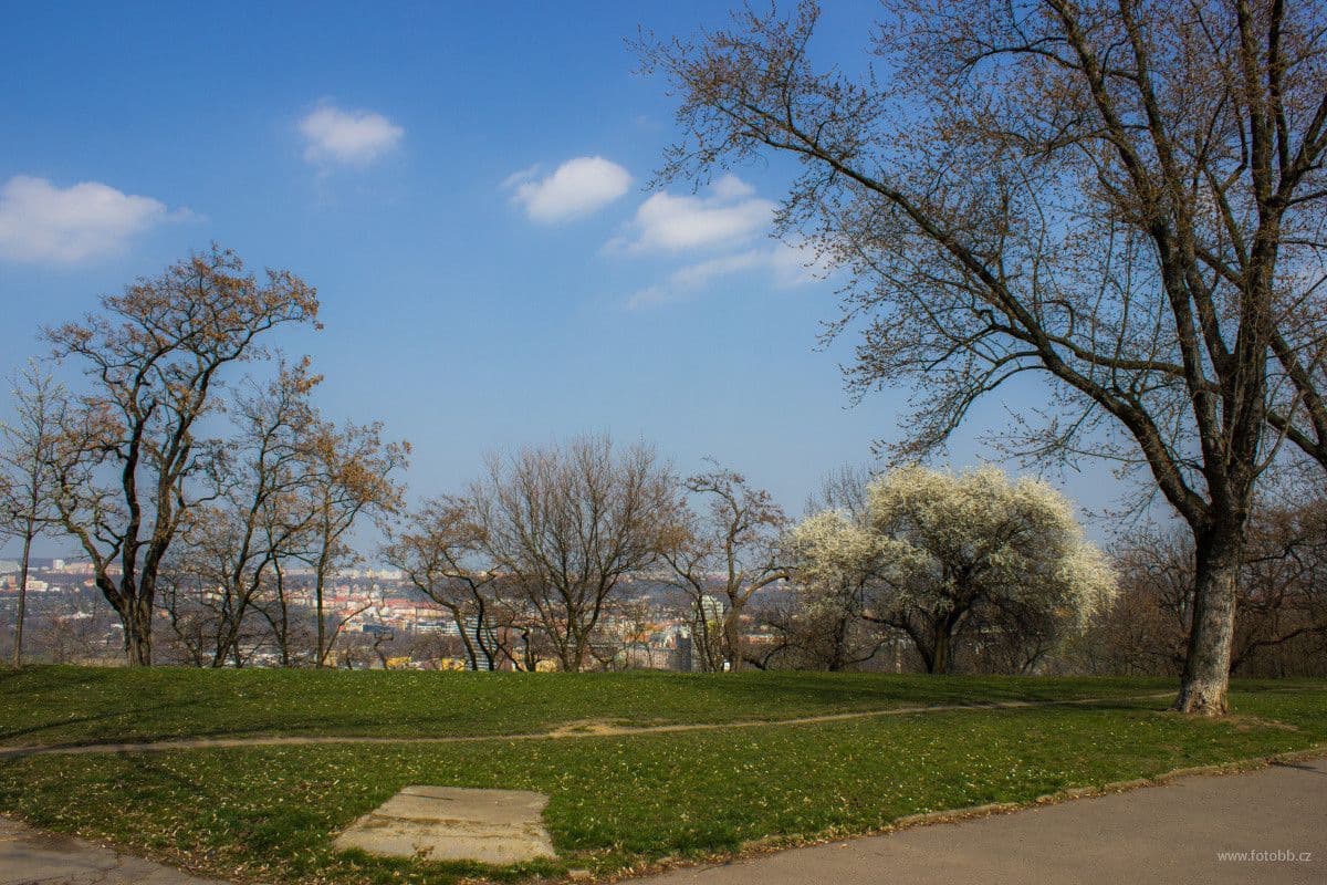 Pronájem bytu  26 m², Kališnická, Praha, Praha