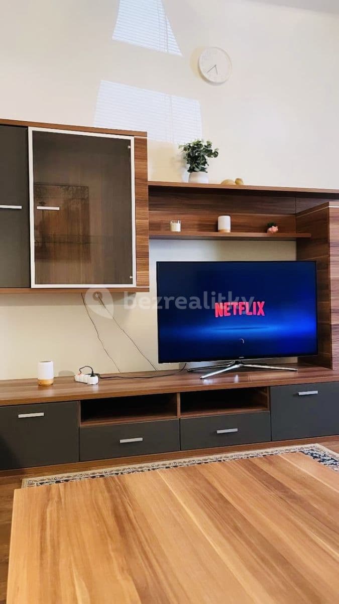 Pronájem bytu 2+1 55 m², Přemyslovská, Praha, Praha