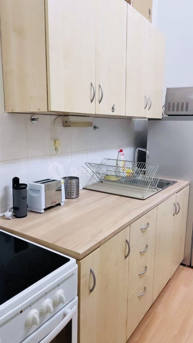 Pronájem bytu 2+1 55 m², Přemyslovská, Praha, Praha