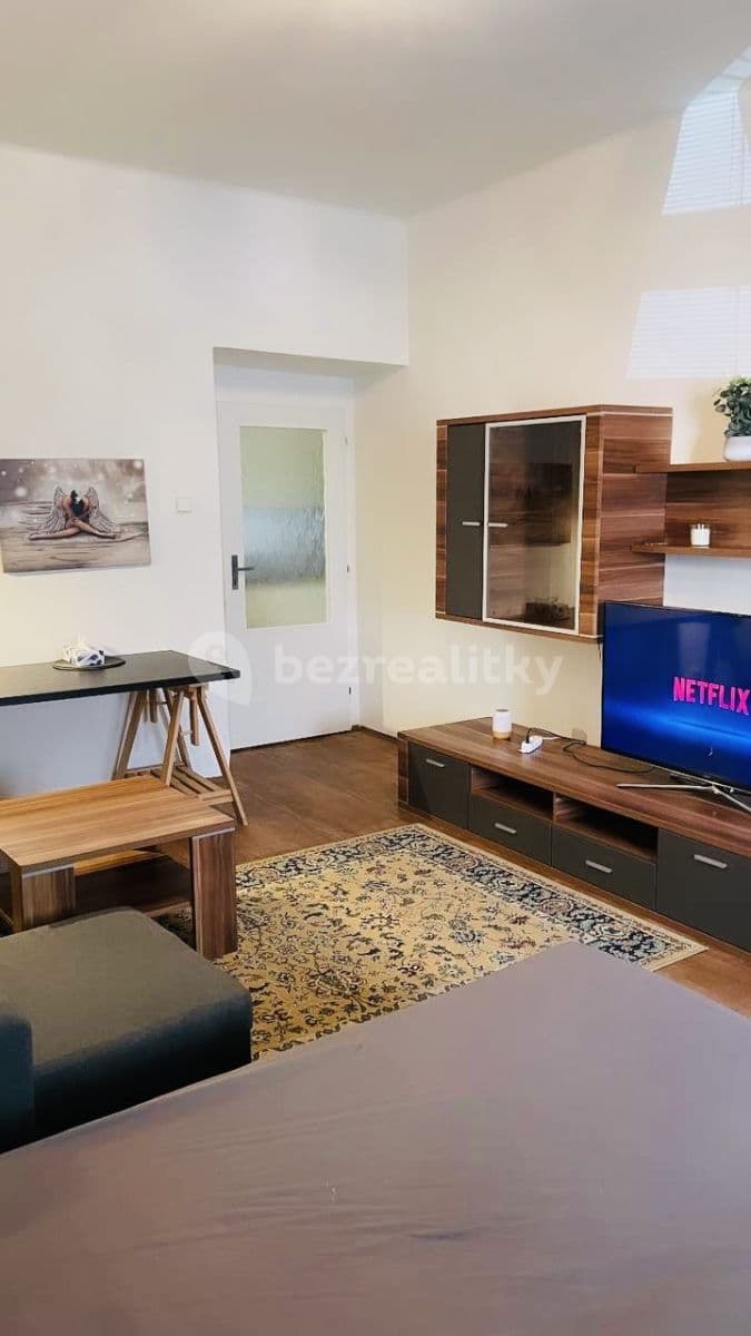 Pronájem bytu 2+1 55 m², Přemyslovská, Praha, Praha